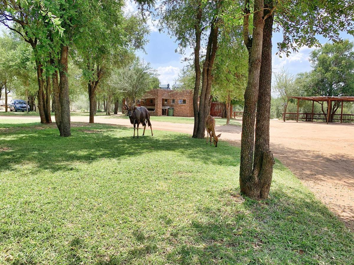 Tshikwalo Game Lodge Klipdrift Buitenkant foto